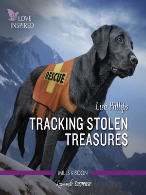 cover image of Tracking Stolen Treasures